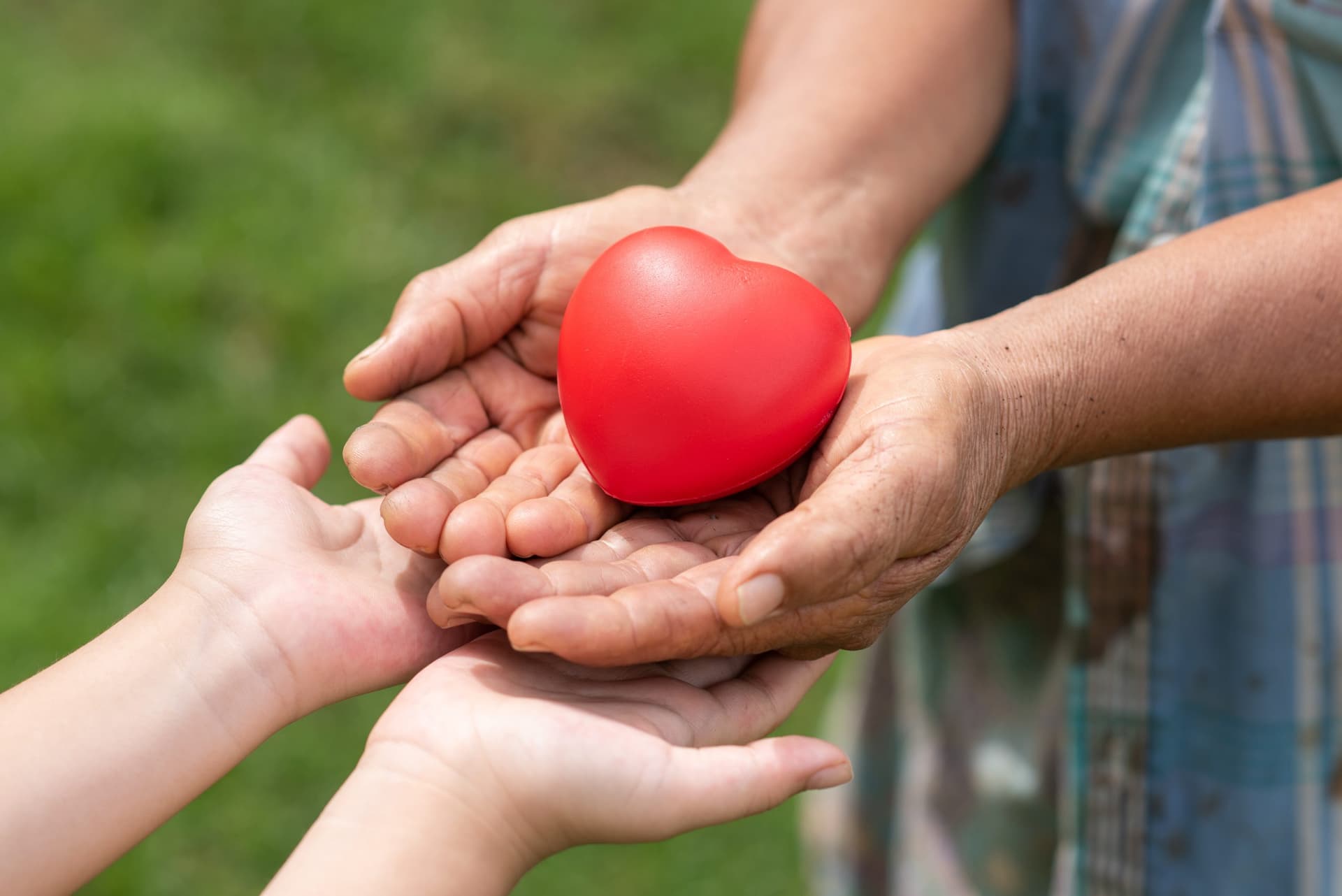 Charity support for mobility equipment
