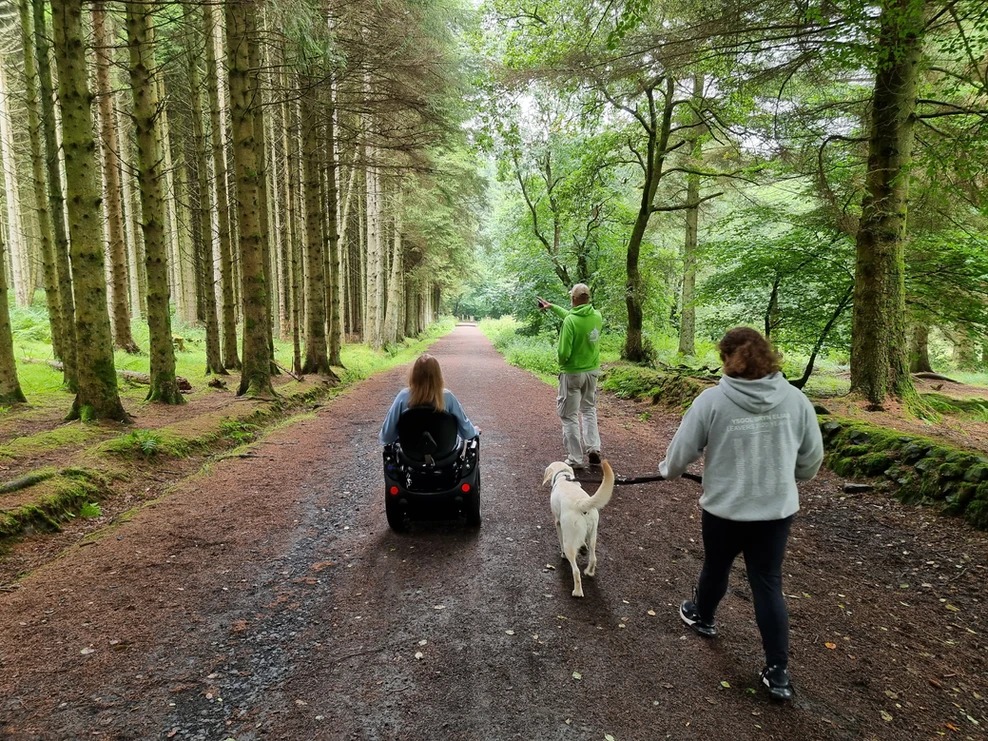 Wheelchair Users: This is why the Omeo All Terrain Power Chair is Revolutionizing Outdoor Independence